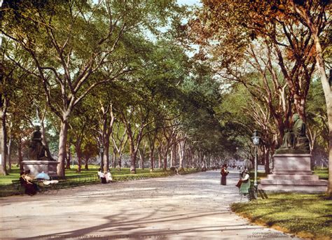 Mall In Central Park New York Photograph