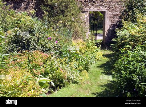 Uk A Mature Dense Planted Garden Borders With A Grass Path Leading To