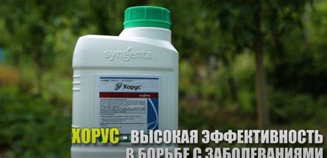 Фунгицид Хорус: инструкция по применению, состав препарата, аналоги ...