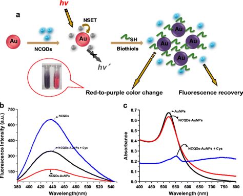 Design Of The Dual Readout Colorimetric And Fluorometric Assay For