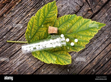 Homeopathic Lactose Sugar Globules On Leaf With Glass Bottle Stock