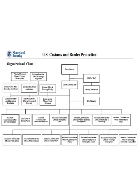 2023 Dhs Organizational Chart Fillable Printable Pdf Amp Forms Handypdf ...