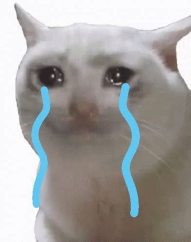 Emotional Animated Sad Cat Crying Gifdb