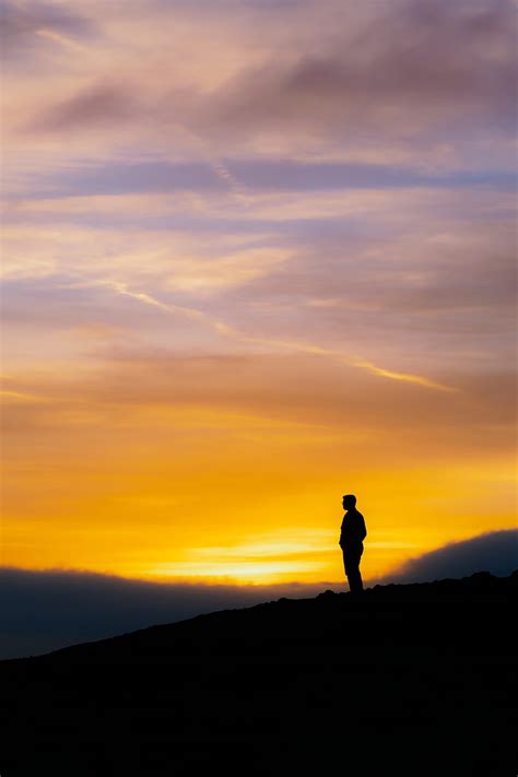 Silhouette Sunset Sky Loneliness Solitude HD Phone Wallpaper Peakpx