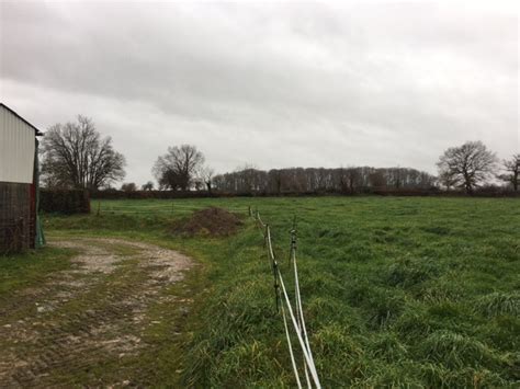 Vente Exploitation agricole d élevage de 104 hectares située dans le