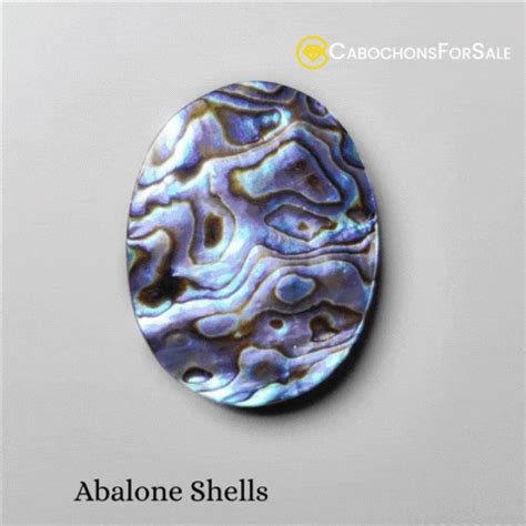 Abalone Shells For Sale Abalone Shell Gemstone Abalone Shells For