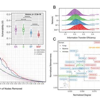 Cold Seep Network Analysis Of Robustness Efficiency And Connectivity