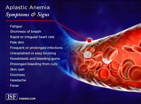 Aplastic Anemia Signs And Symptoms