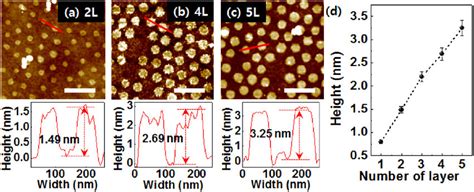 A C Afm Images And Height Profiles Of Gqds Made Of Bi Quadruple