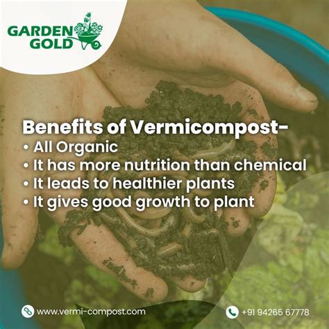 Benefits of vermicompost – Artofit