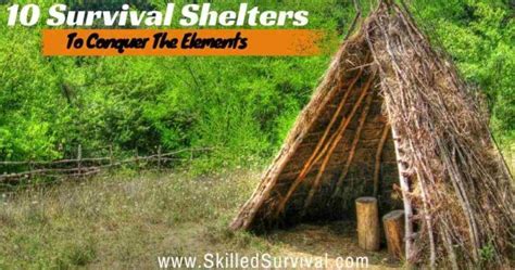 10 Simple Survival Shelters That Will Conquer The Elements Survival