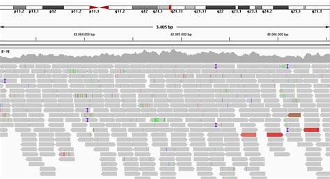 Whole Genome Sequencing Adntro