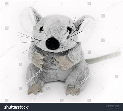 648 Plush Rat Images, Stock Photos & Vectors | Shutterstock