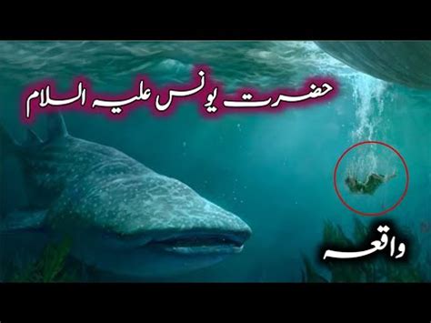 Hazrat Younus As Ka Waqia Prophet Jonah Hazrat Younus Or Machli