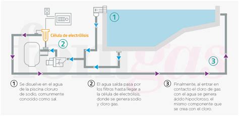 Descubre La Electr Lisis Salina Fontgas