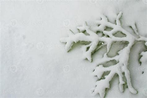 Winter landscape. Snow covered trees 9848004 Stock Photo at Vecteezy