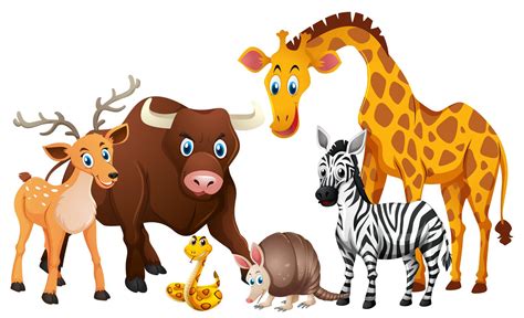 Wild animals on white background 369578 Vector Art at Vecteezy