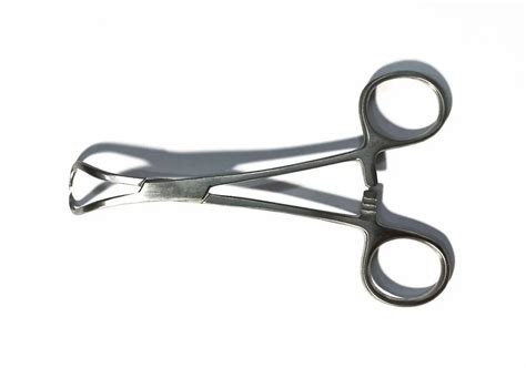 Stainless Steel Backhaus Towel Forceps For Hospital At Rs Piece In