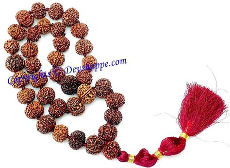 7 Mukhi Seven Faced Rudraksha Mala 361 Beads Of Nepali Origin