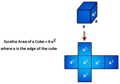 Surface Area Of A Cube Formula Darianjoysho