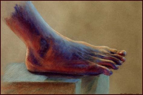foot schoonermooncom