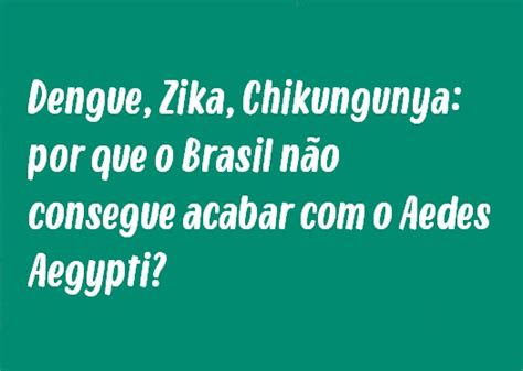 Modelo De Reda O Dengue Zika Chikungunya Por Que O Brasil N O