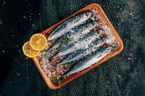 Pesca Da Sardinha Reabre Hoje Mas H Limites Para A Descarga E Venda