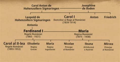 DECES REGE Arborele genealogic al familiei Regale a României Digi24