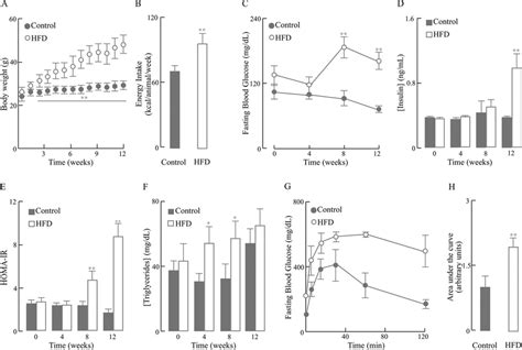 Characterization Of The Hfd Induced Mouse Model Of Obesity Mice Were