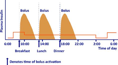 Bolus and basal insulin infusion scheme in CSII | Download Scientific ...