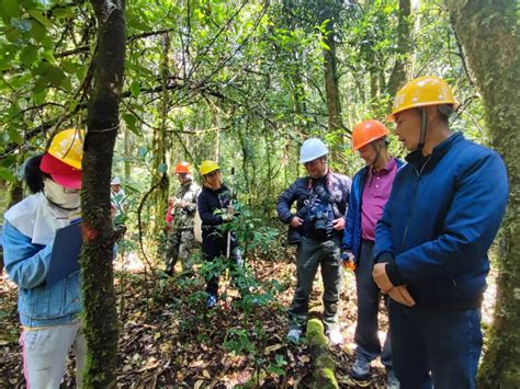 云南哀牢山森林生态系统国家野外科学观测研究站