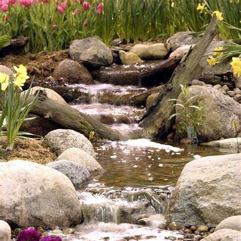 Garden Pond Kits Waterfall Animal Enthusias Blog