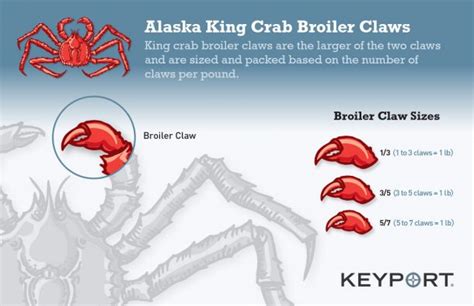 King Crab Sizing Guide Keyport Sizing Guide For Wholesale King Crab