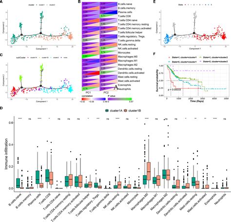 Frontiers Identification Of Tumor Antigens And Immune Landscapes For