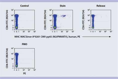 Mhc Multimers Antigen Specific T Cells Peptide Pre Loaded