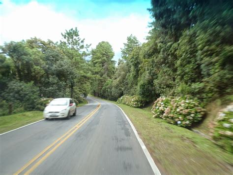 Passeio De Trem Pela Serra Do Mar O Melhor De Curitiba Viajar Hei