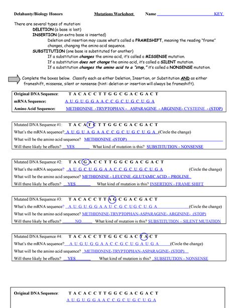 Dna Mutations Worksheet Key