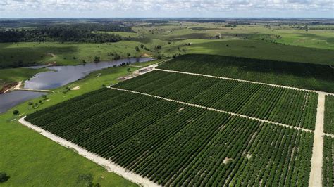 Estudo Aponta Crescimento De Milh Es De Hectares De Rea Irrigada