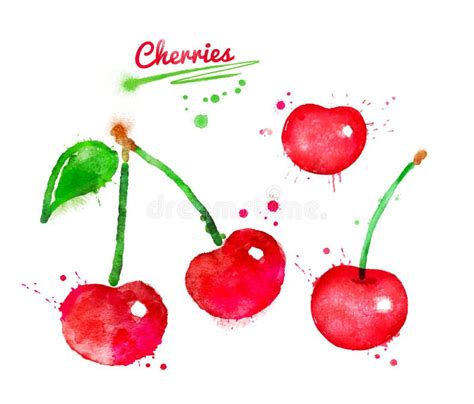 Illustration D Aquarelle Des Cerises Illustration Stock Illustration