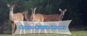 Bhagwan Mahavir Wildlife Sanctuary