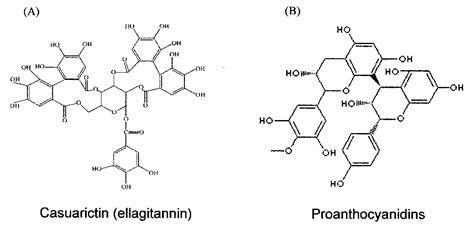 Food Phenolic Compounds Main Classes Sources And Their Antioxidant