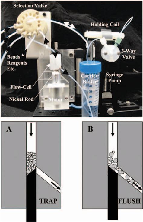 The Fluidic System Used For Automating A Multiplexed Bead Based Download Scientific Diagram