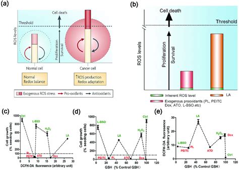 No Evident Dose Response Relationship Between Cellular Ros Level And Download Scientific