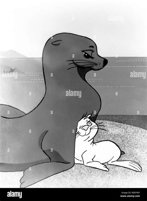 The White Seal Seals 1975 Stock Photo Alamy