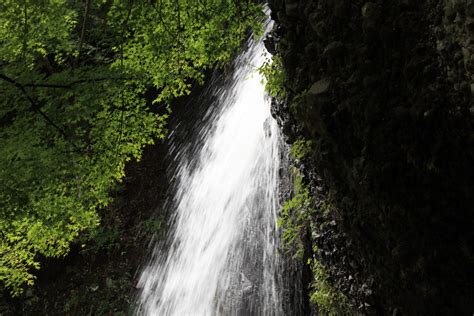 Free Images Tree Nature Forest Waterfall Leaf River Stream