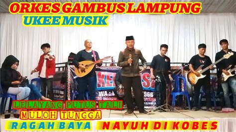 ORKES GAMBUS LAMPUNG UKEE MUSIK NAYUH DI KOBES Wirchannel YouTube