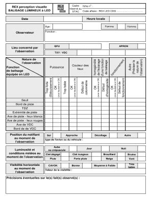 Fillable Online Stac Aviation Civile Gouv Date Observateur Hom Og N It