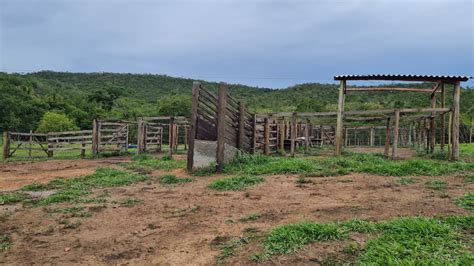 29 ALQUEIRES EM SILVÂNIA GO FAZENDA A VENDA EM GOIAS DUPLA APTIDÃO