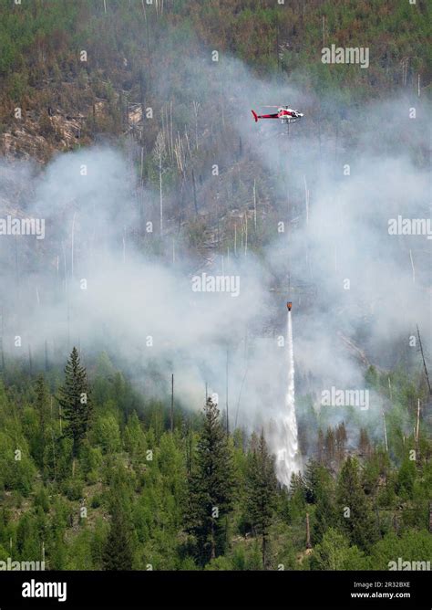 Helicopter Dumping Water On A Forest Fire In Kootenay National Park