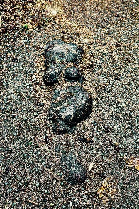 Nude Embedded Photograph By Brian Sereda Pixels